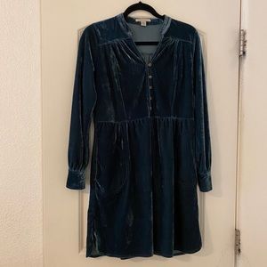 Velvet Tunic Dress - Anthro Holding Horses Dupe